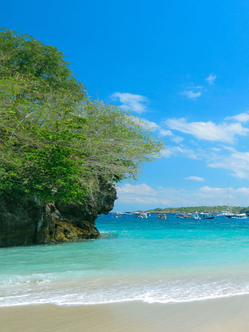 Activities in Nusa Penida